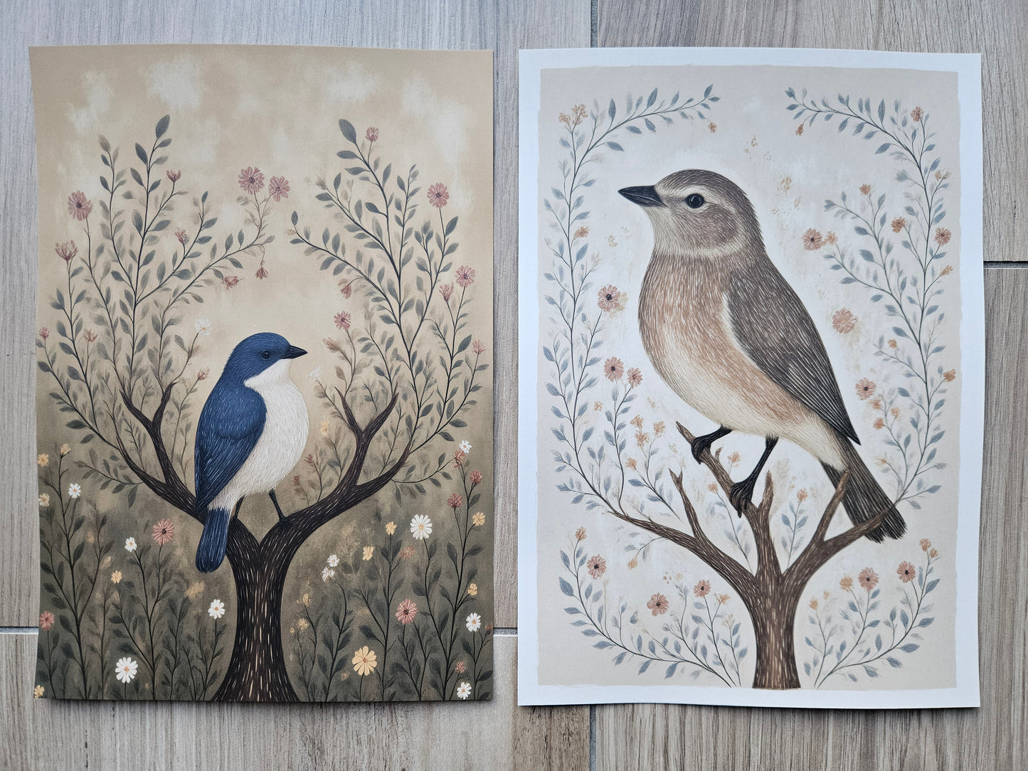 Birds Brown & White