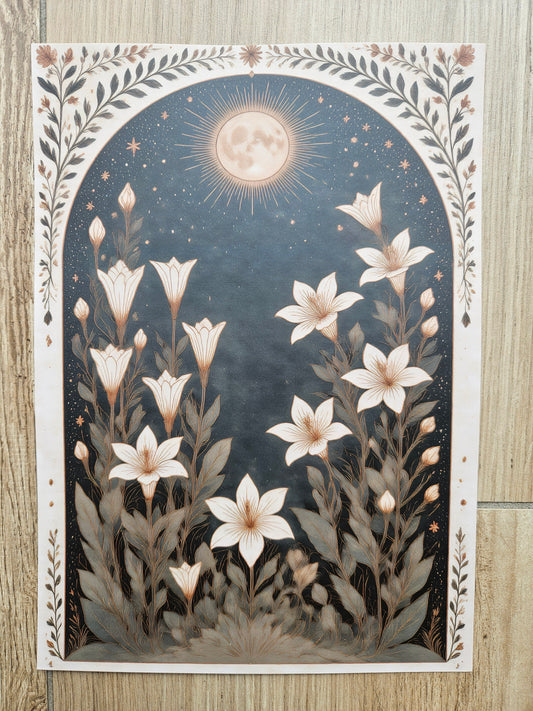 Night Flowers