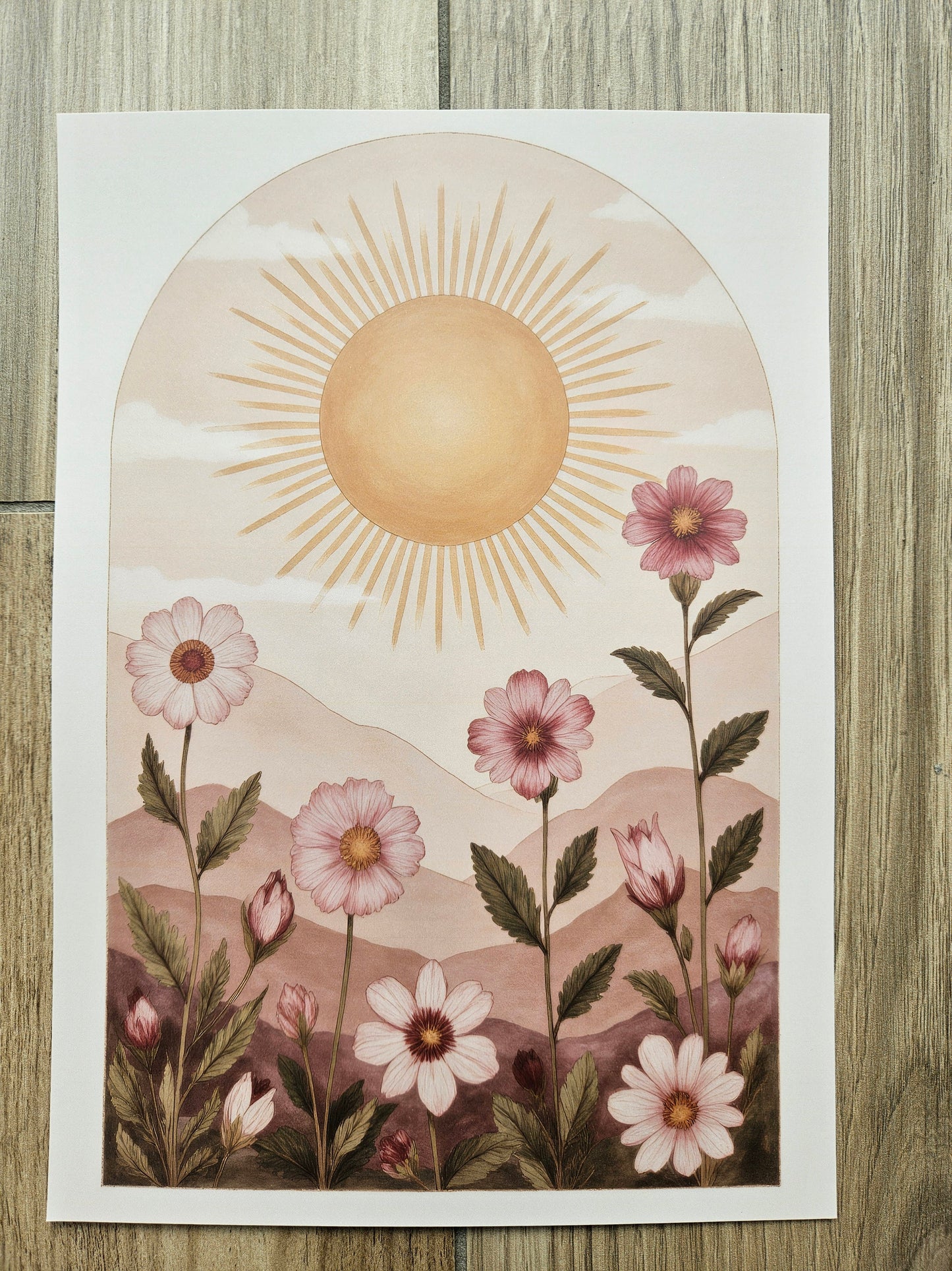 Sun Pink Flowers