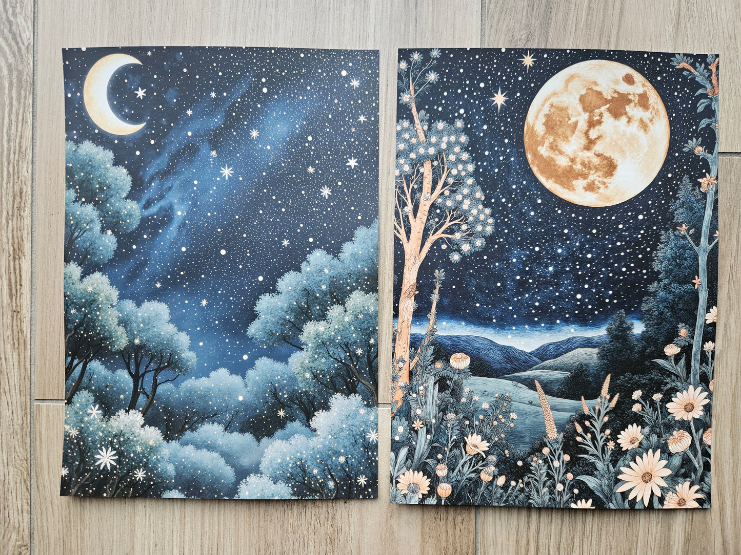 Night Landscape Trees