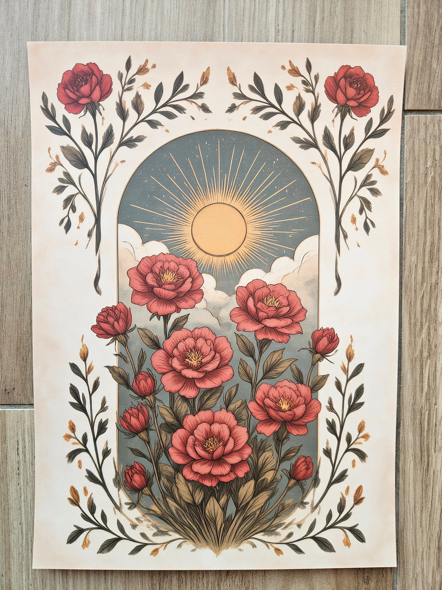 Sun Roses