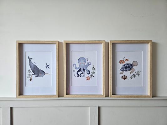 Sea Animals