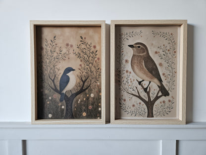 Birds Brown & White
