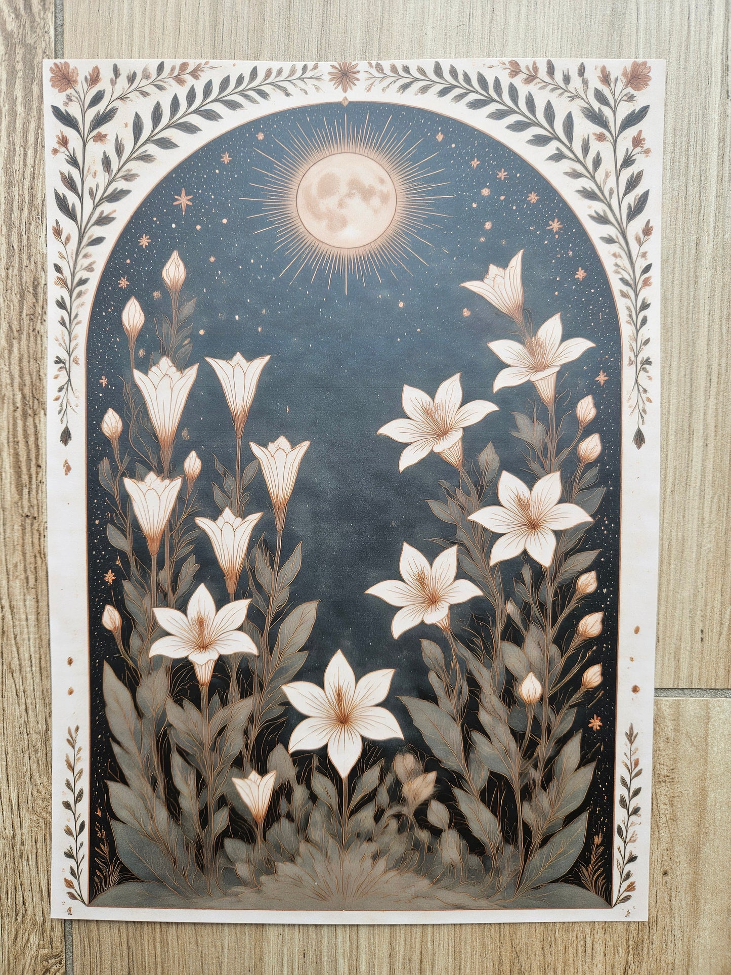 Night Flowers