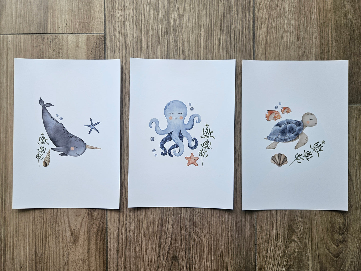 Sea Animals