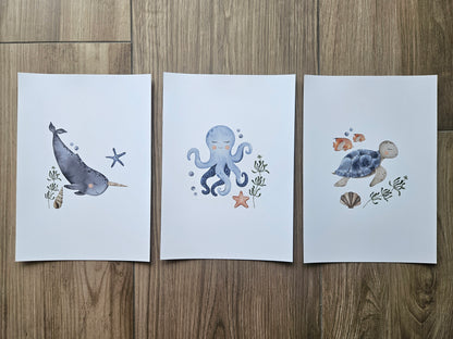 Sea Animals