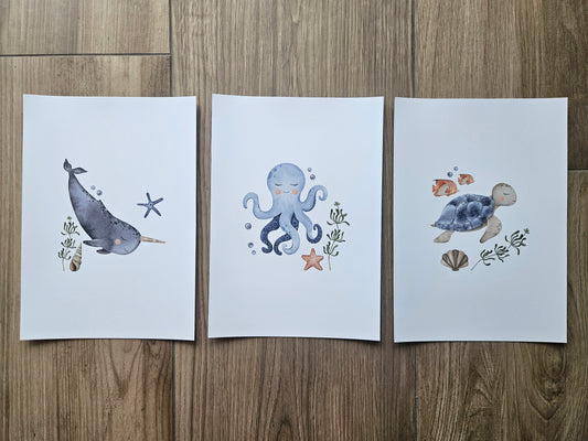 Sea Animals