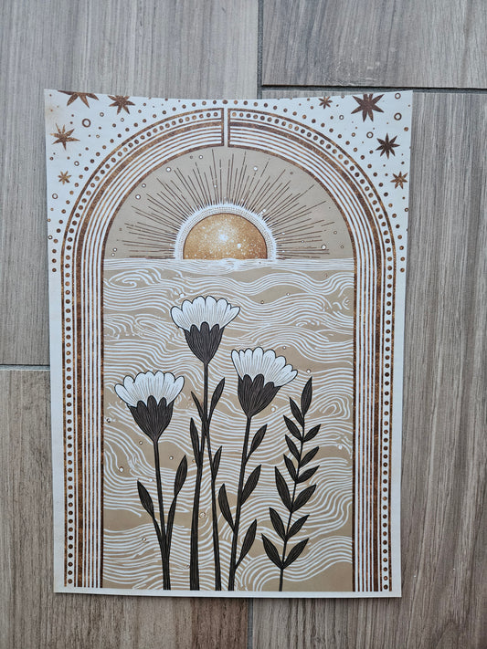 Sun Neutral