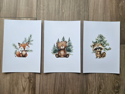 Forest Animals