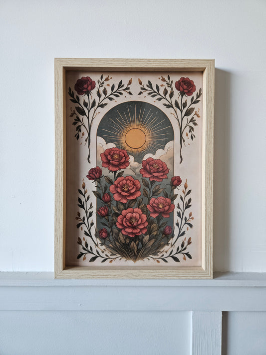 Sun Roses
