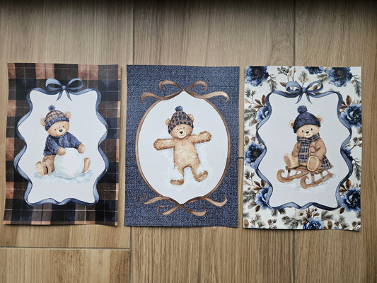 Teddy Winter Snow
