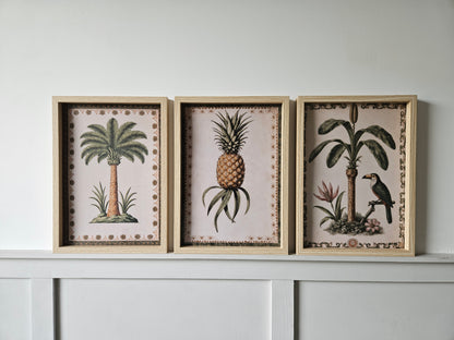 Tropical Vintage