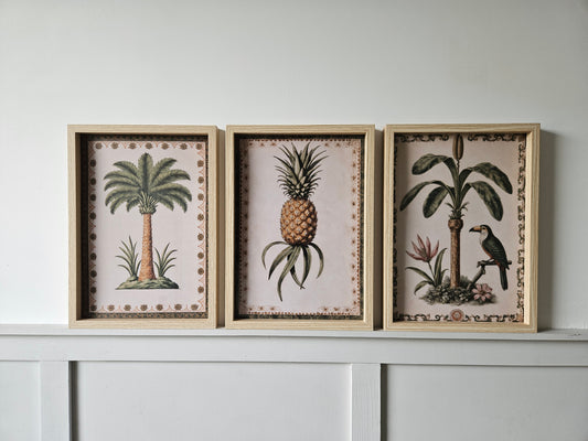 Tropical Vintage
